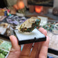 Chrysocolla on Quartz from Mina la Tentadora, Castrovirreyna, Huancavelina, Peru