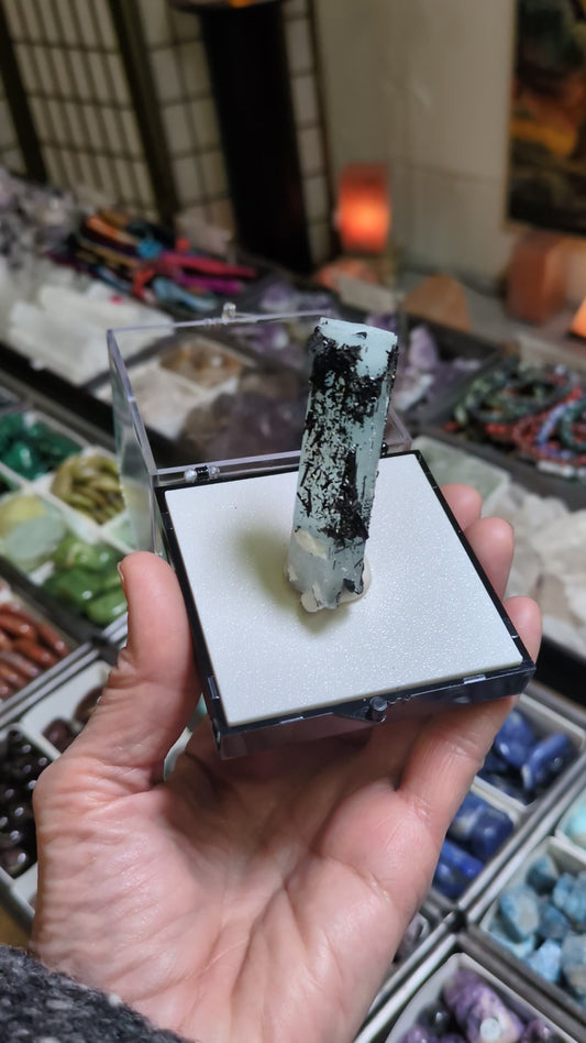 Aquamarine with Black Tourmaline from Pakistan