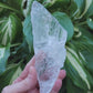 Selenite from Mexico (W 2 1/4 X D 1 1/4 X L 5 5/8 inches)