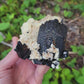 Black Tourmaline on Feldspar from Erongo, Namibia