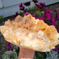 Quartz (Red Phantom, XL) from Tamil Nadu in India