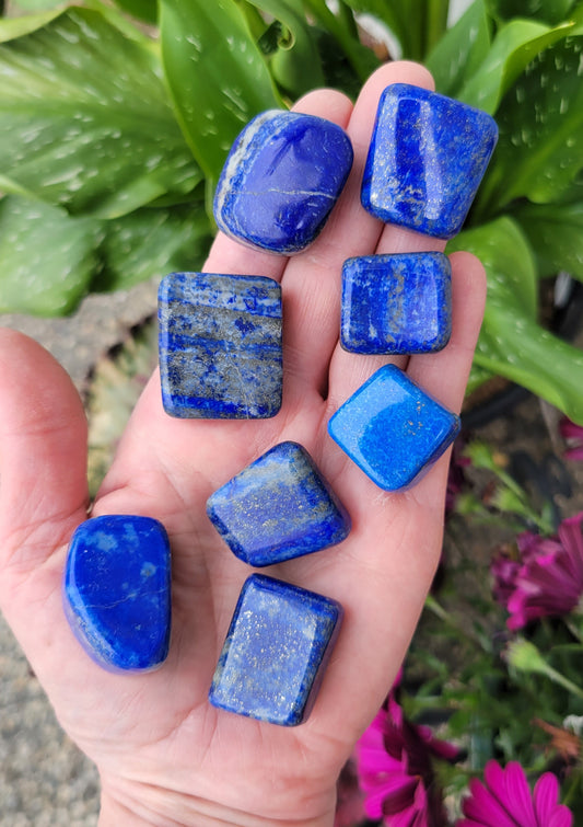 Lapis Lazuli Pocket Stone from Pakistan