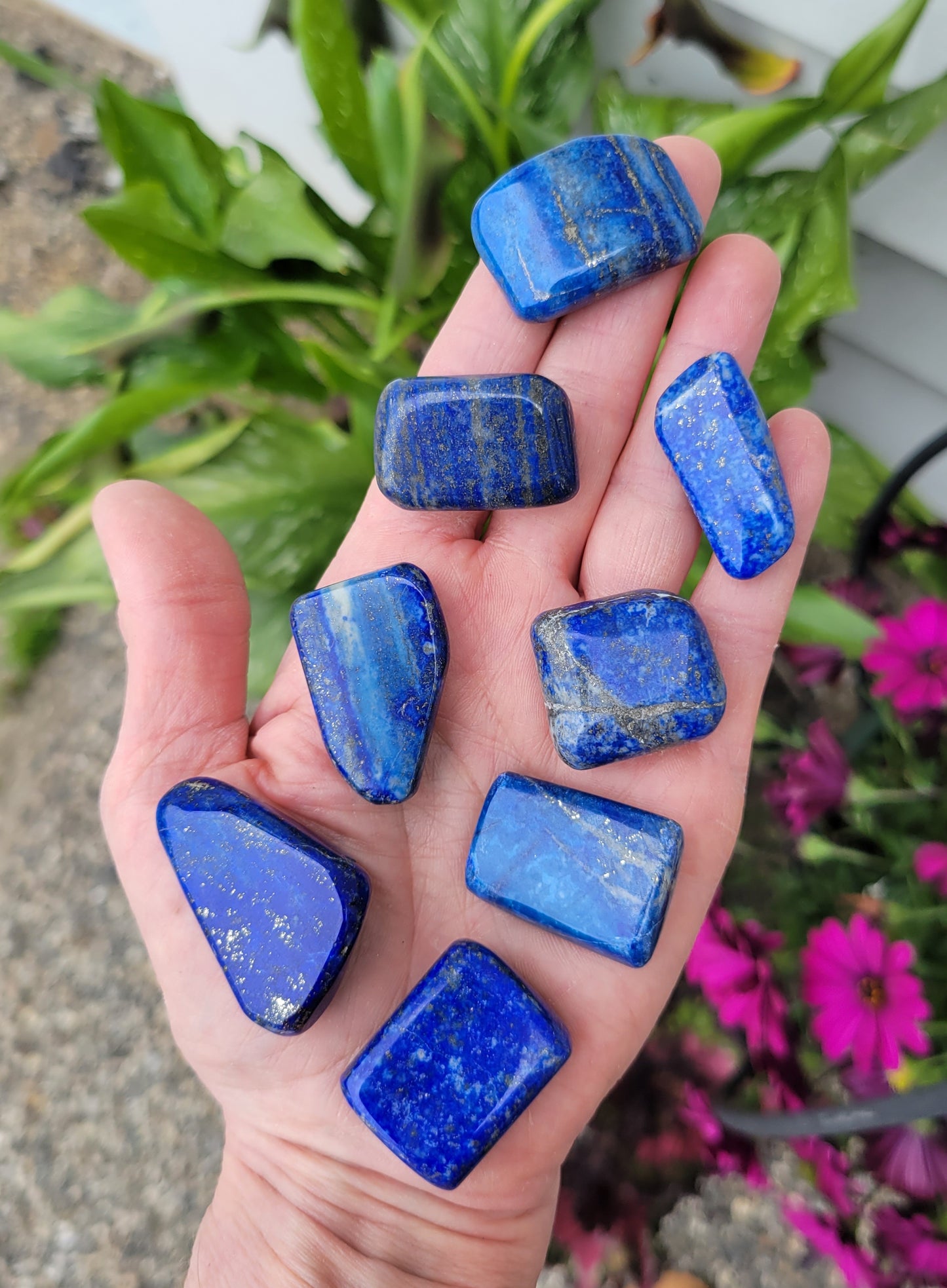 Lapis Lazuli Pocket Stone from Pakistan
