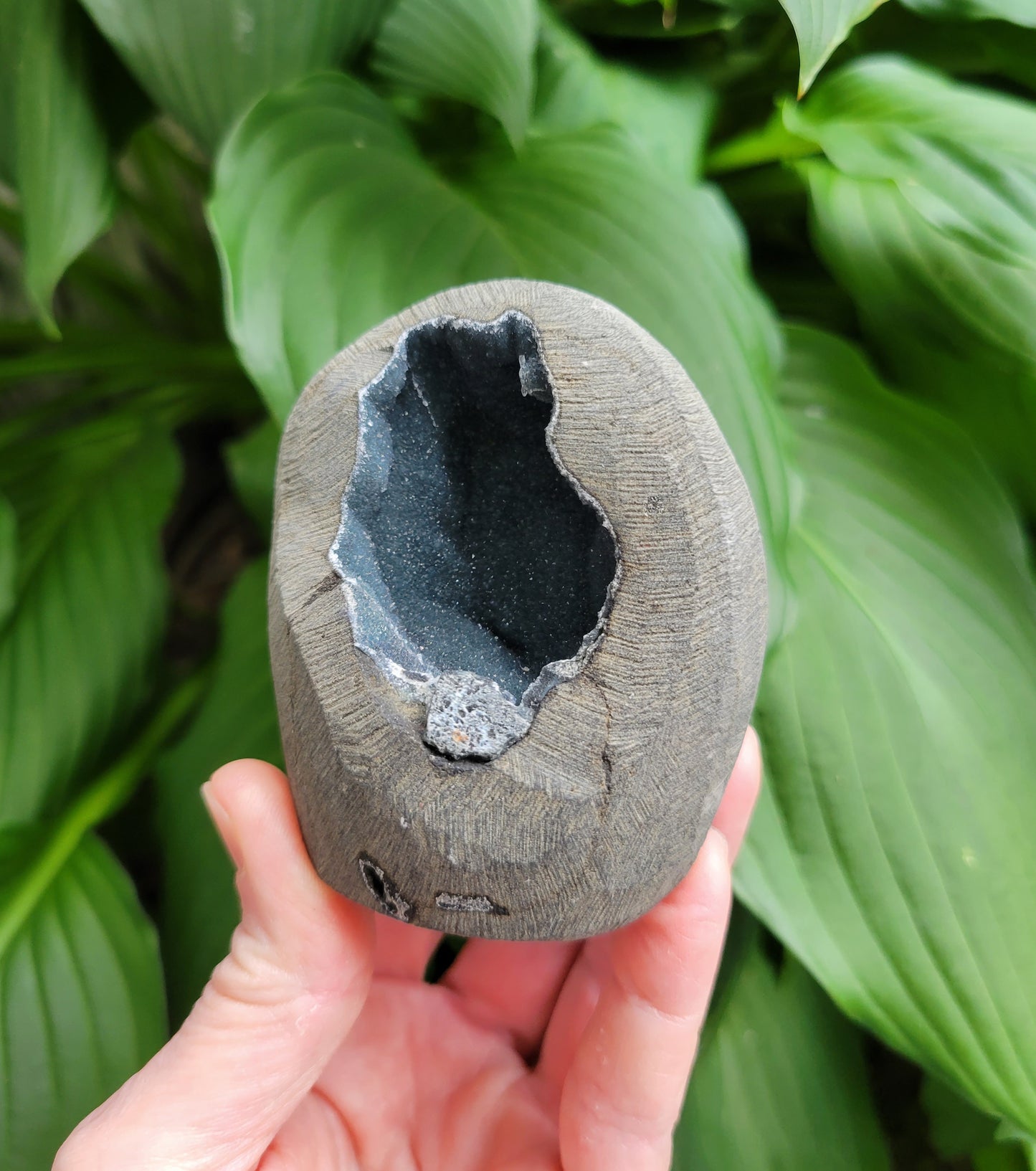 Black Chalcedony Cut Base Geode from India
