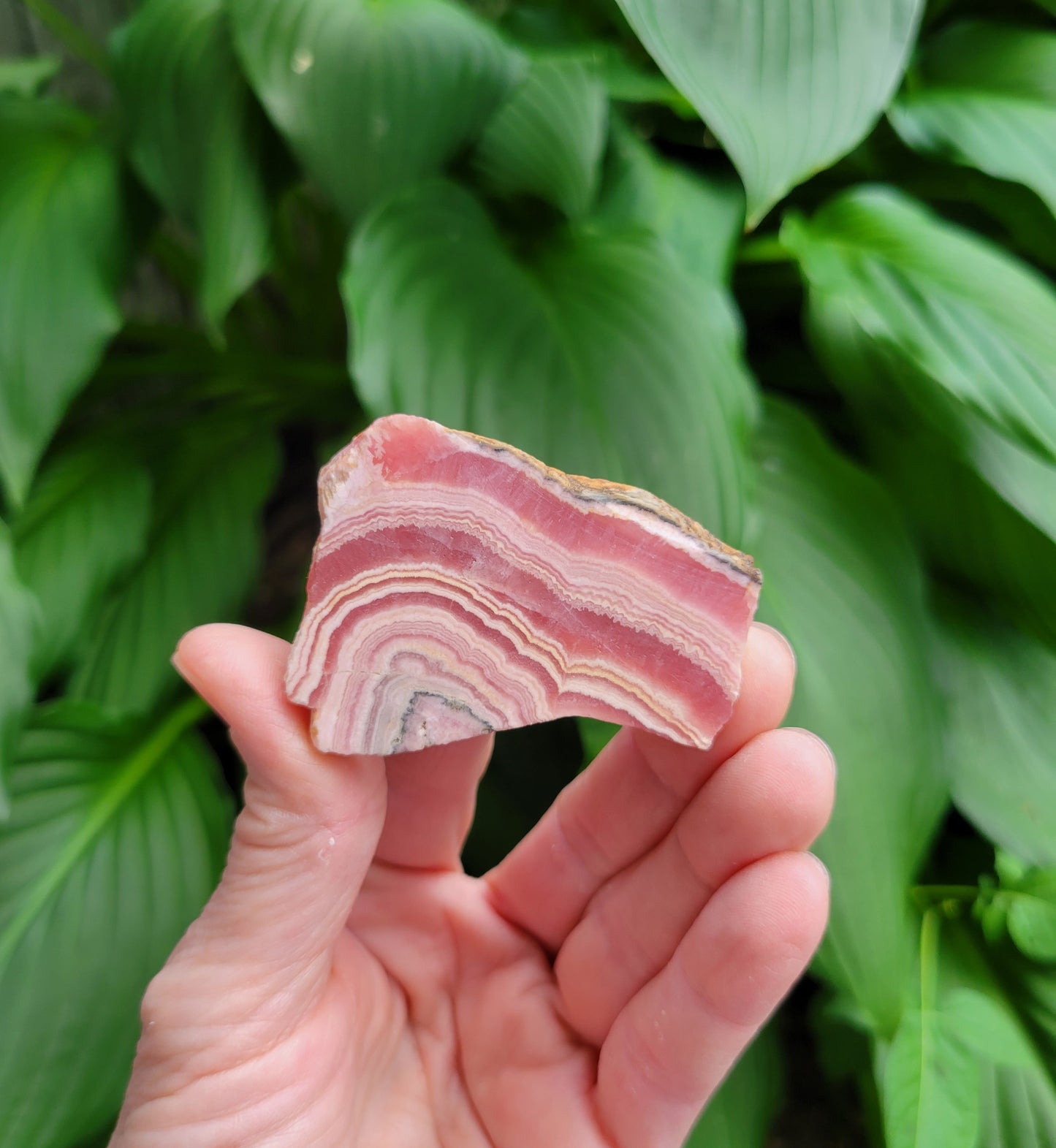 Rhodochrosite Slice from Peru