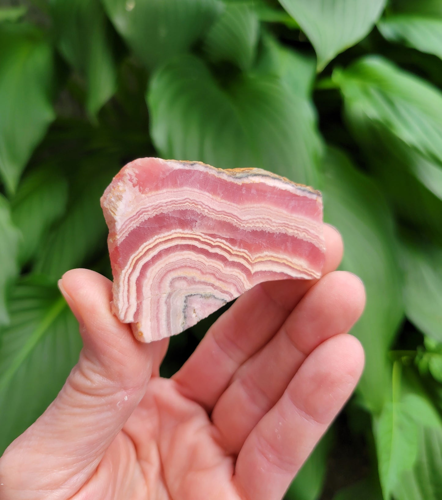 Rhodochrosite Slice from Peru