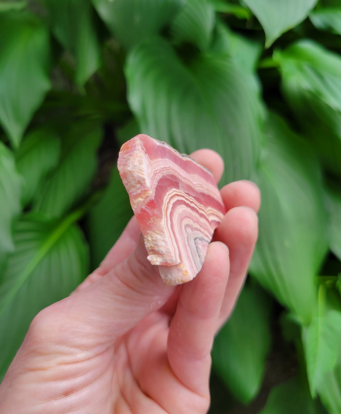 Rhodochrosite Slice from Peru