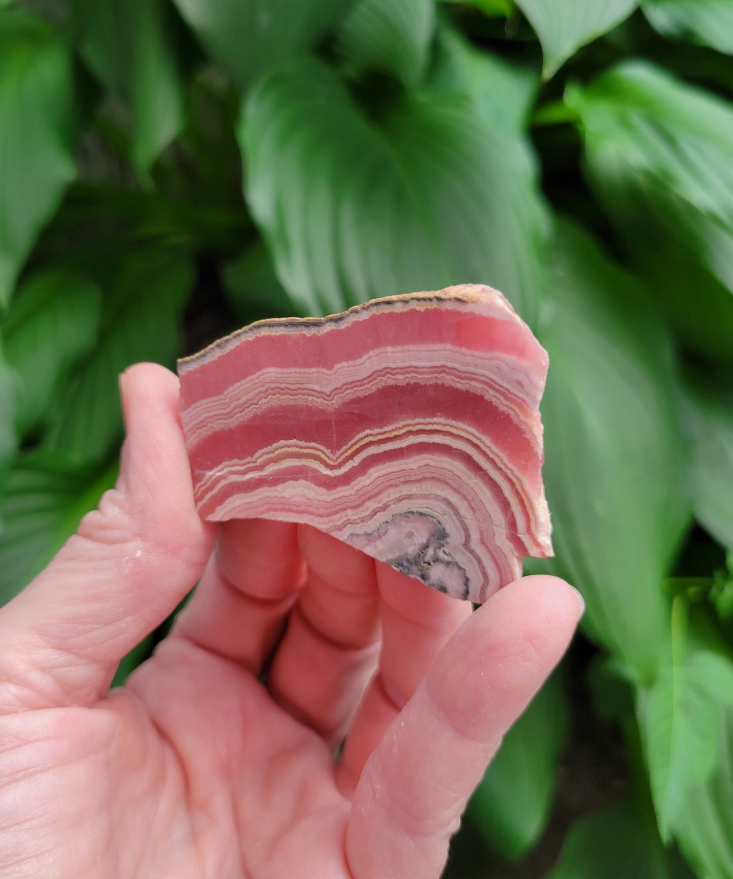 Rhodochrosite Slice from Peru