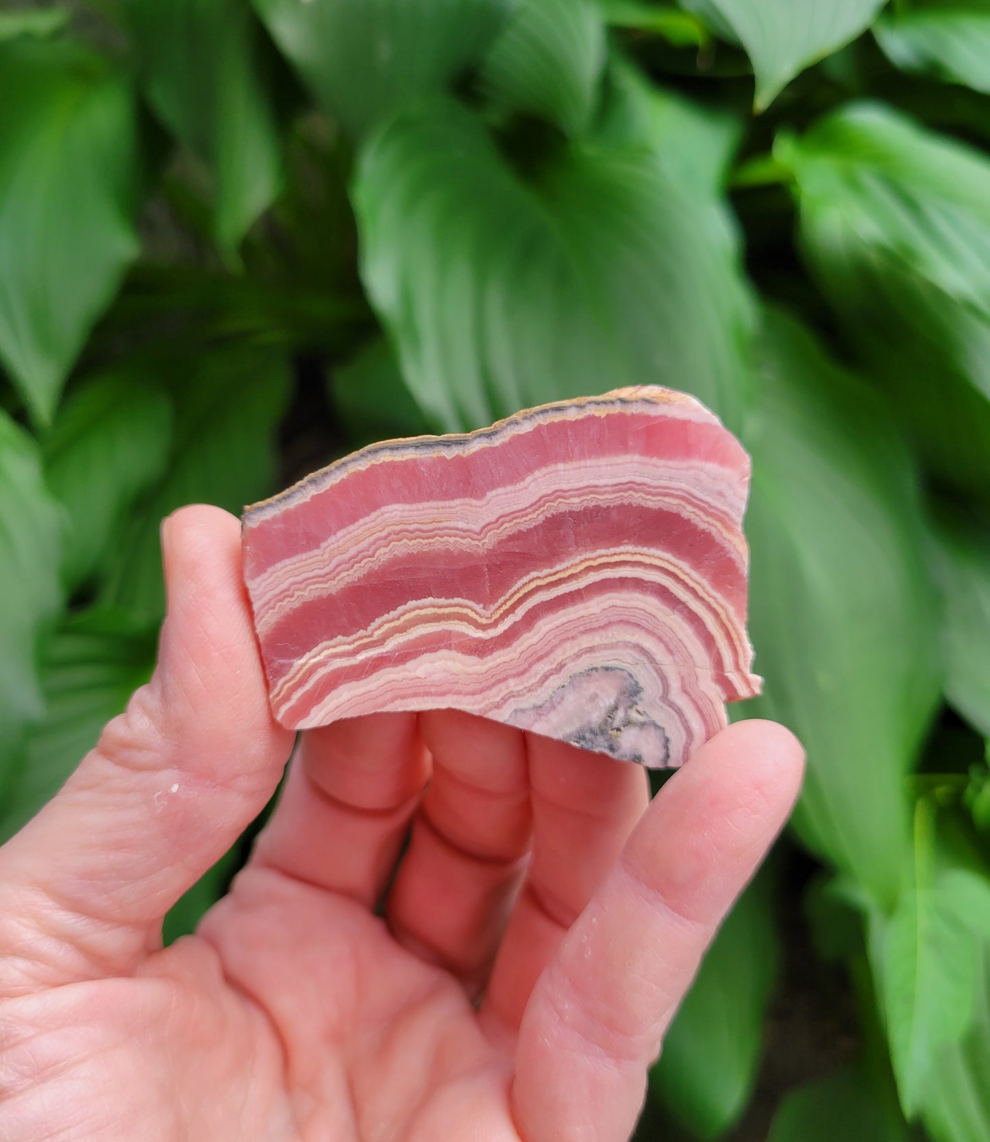 Rhodochrosite Slice from Peru