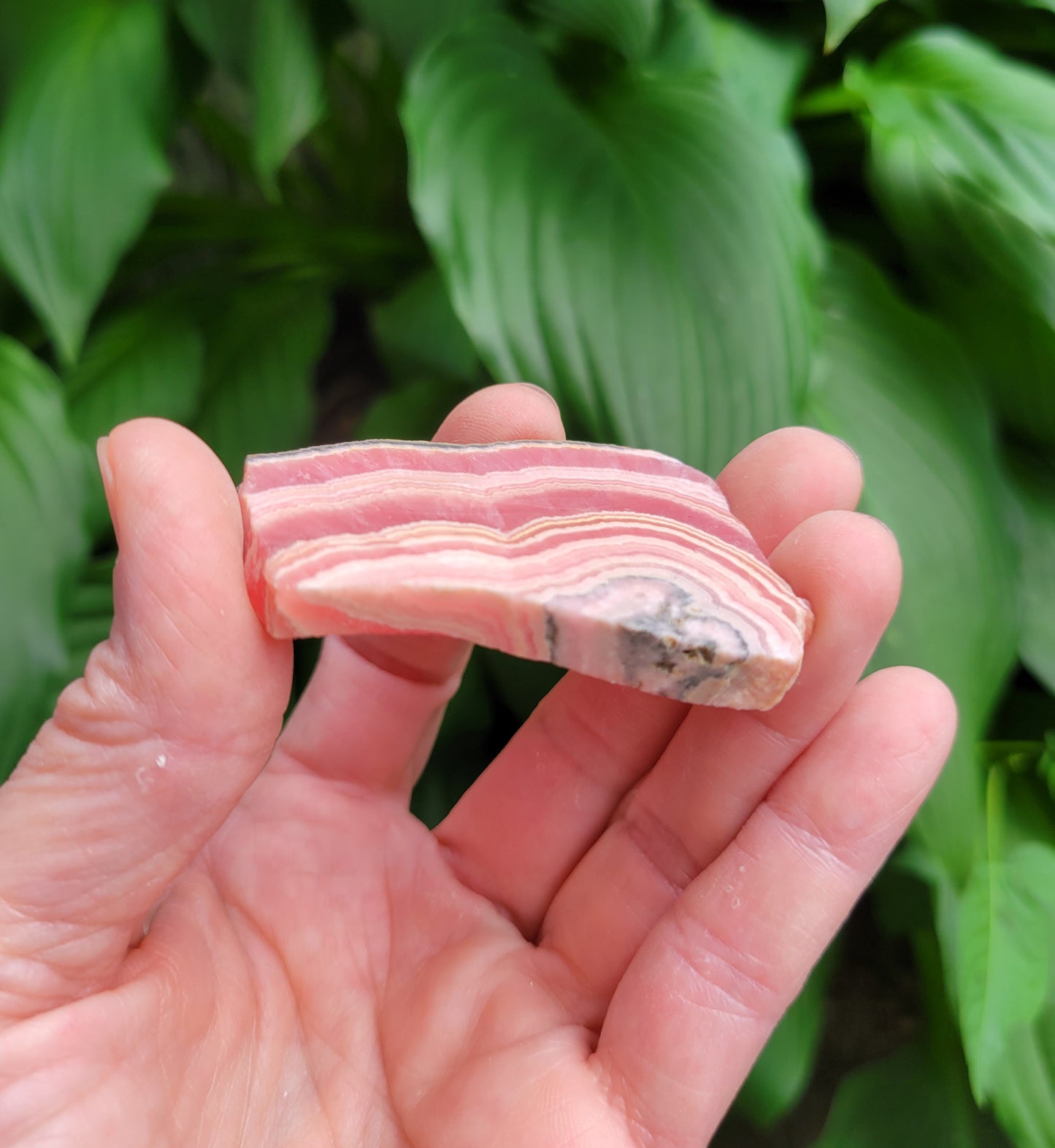 Rhodochrosite Slice from Peru