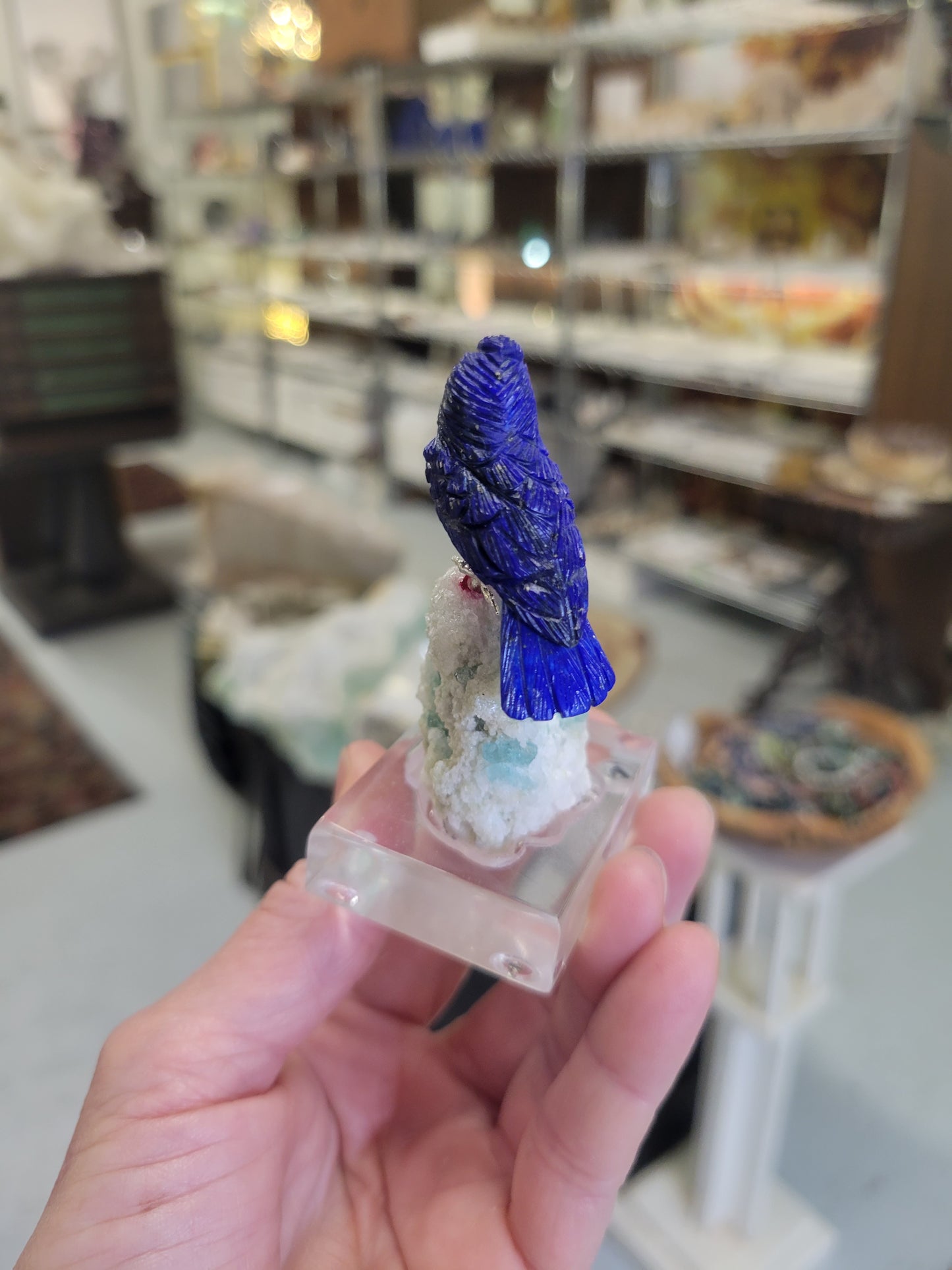 Peter Muller Collection, Lapis Lazuli Bluejay on Aquamarine and Quartz