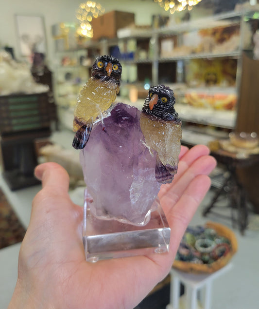 Peter Muller Carving, Rainbow Fluorite Owls on Amethyst from Brazil