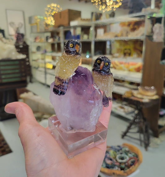 Peter Muller Carving, Rainbow Fluorite Owls on Amethyst from Brazil
