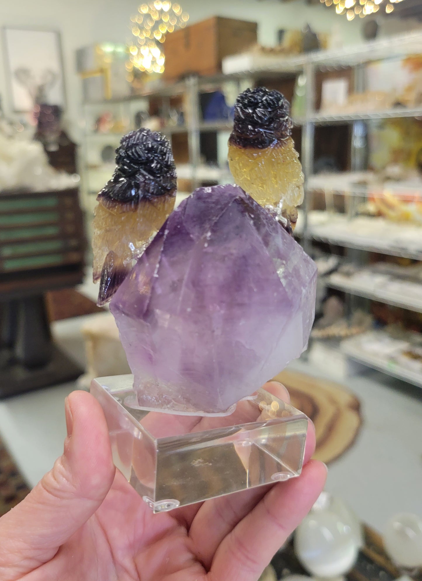 Peter Muller Carving, Rainbow Fluorite Owls on Amethyst from Brazil