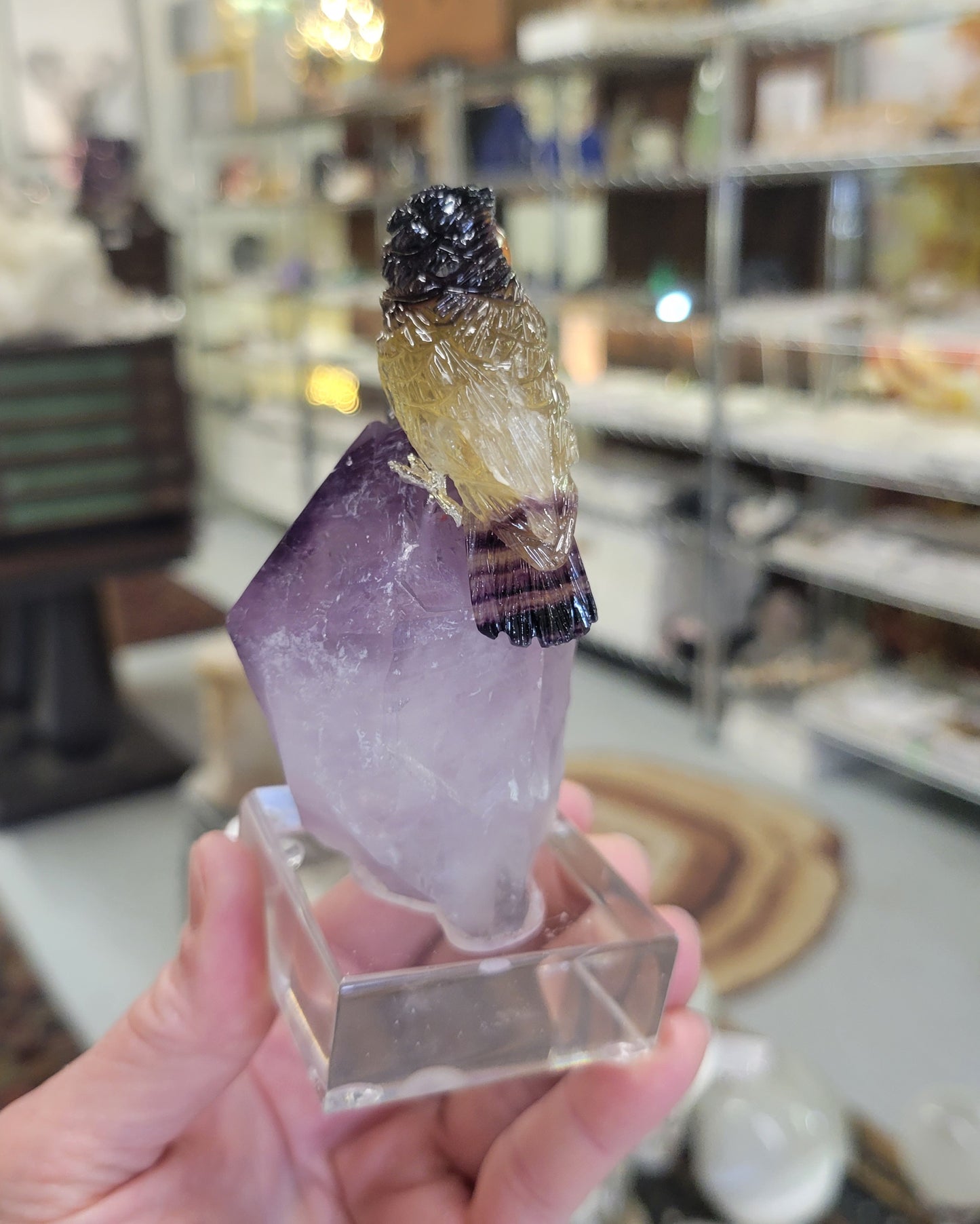 Peter Muller Carving, Rainbow Fluorite Owls on Amethyst from Brazil