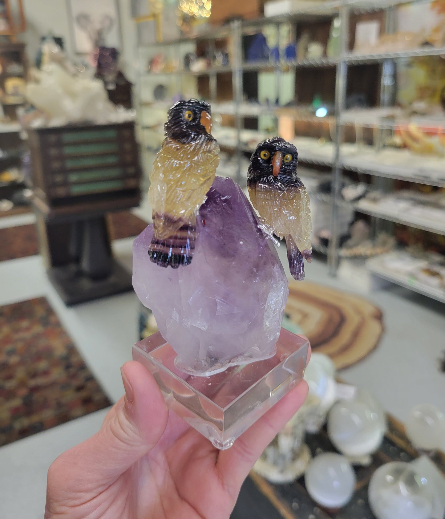 Peter Muller Carving, Rainbow Fluorite Owls on Amethyst from Brazil