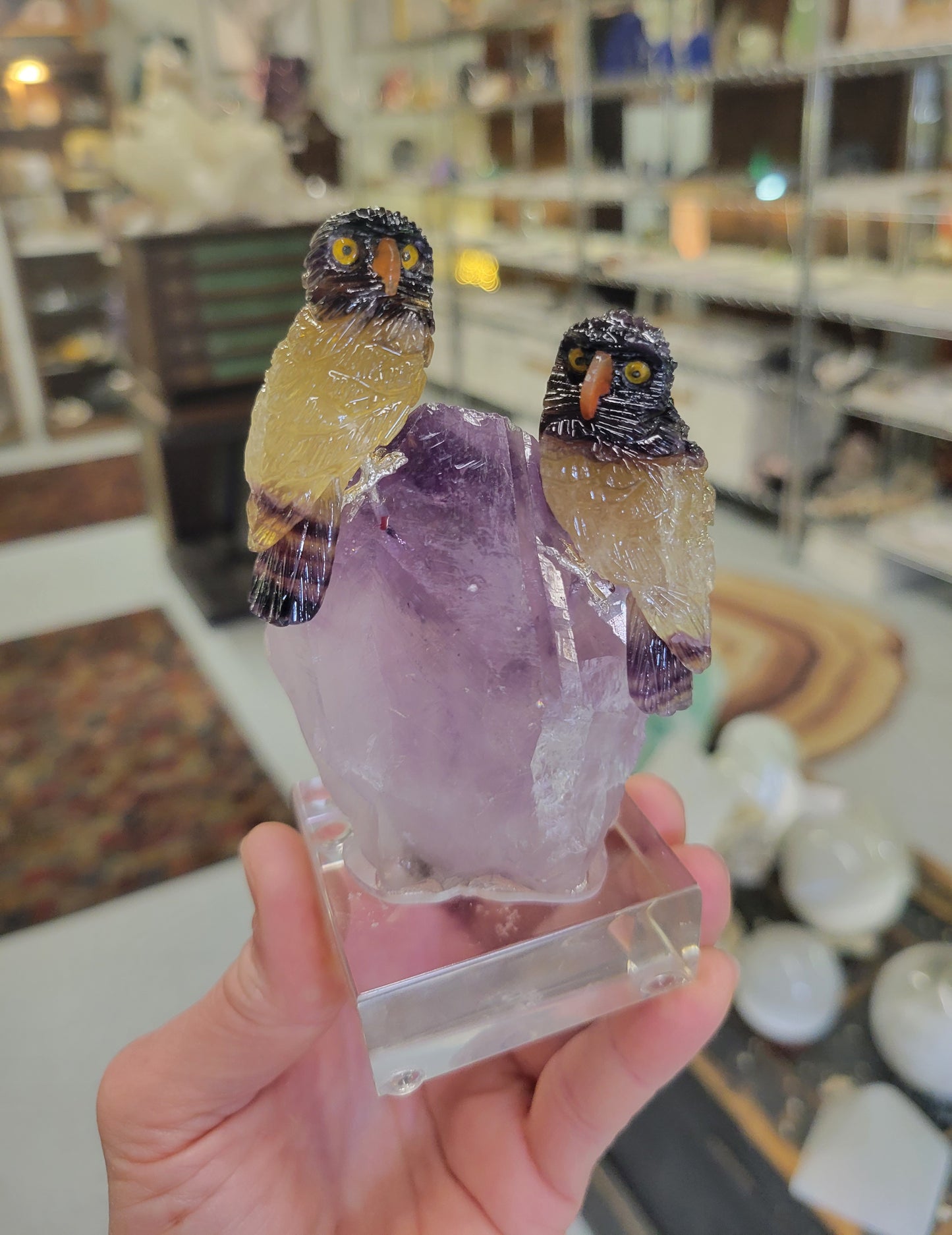 Peter Muller Carving, Rainbow Fluorite Owls on Amethyst from Brazil