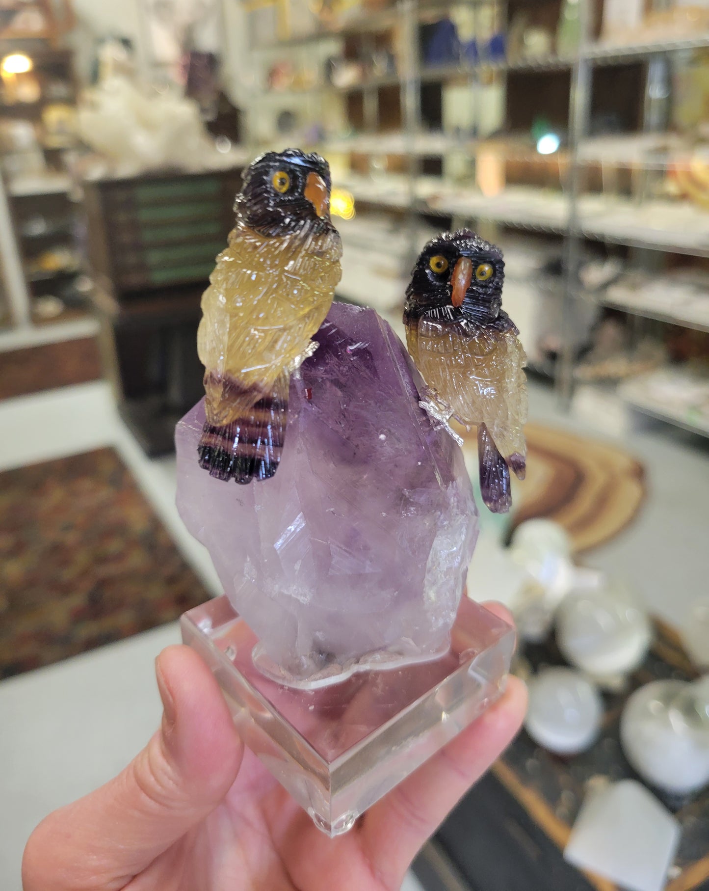 Peter Muller Carving, Rainbow Fluorite Owls on Amethyst from Brazil