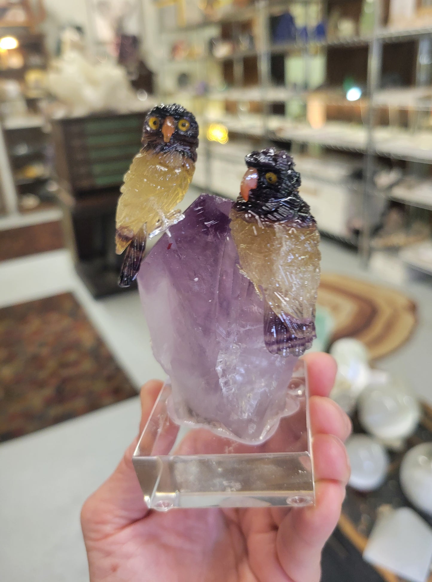 Peter Muller Carving, Rainbow Fluorite Owls on Amethyst from Brazil