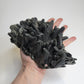 Hedenbergite Quartz Cluster from Mongolia, China