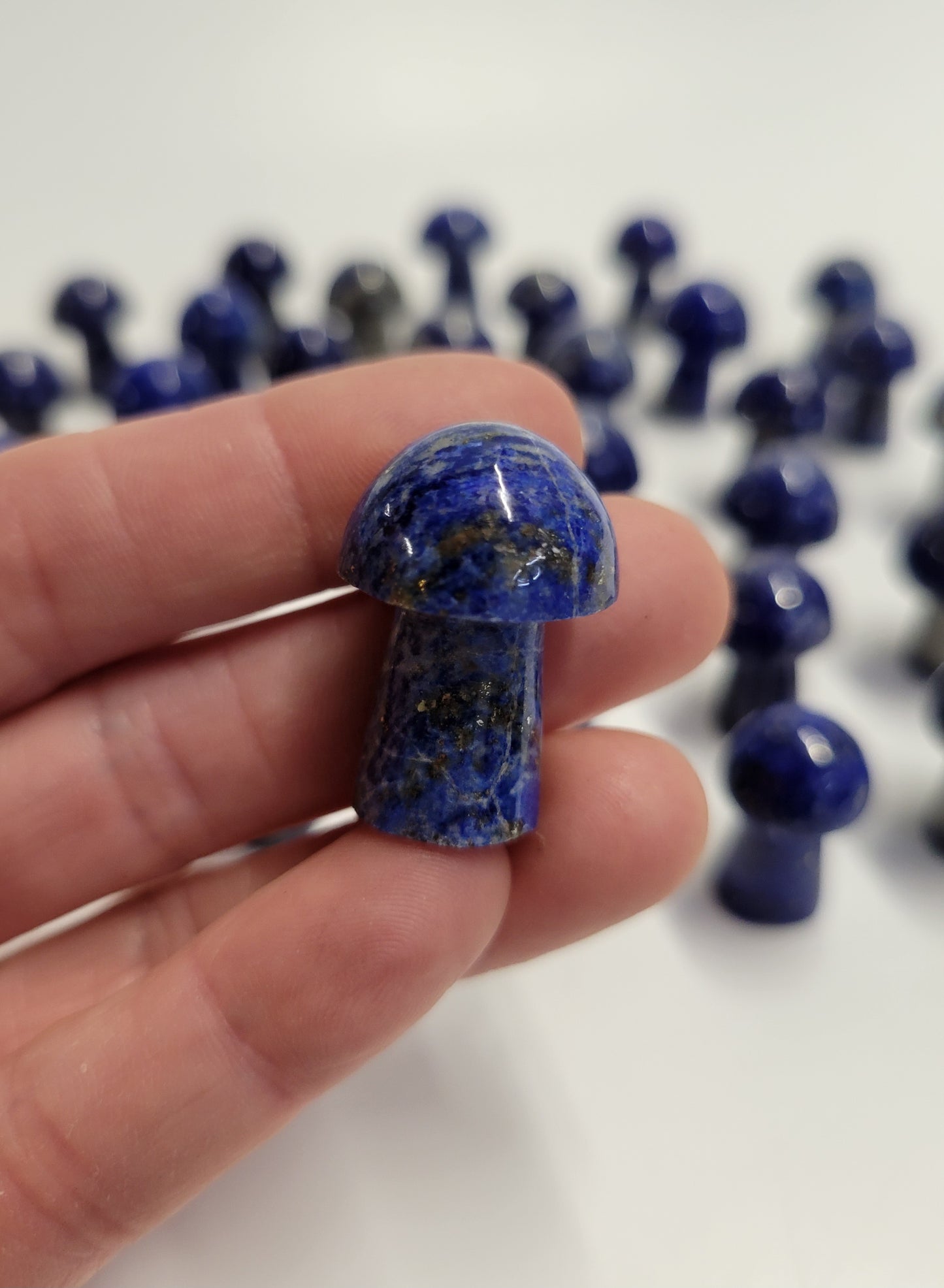 Mushroom Miniature from Pakistan - Lapis Lazuli