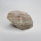Included Quartz Polished Free Form from Brazil (3 X 2 1/2 X 2 inches)