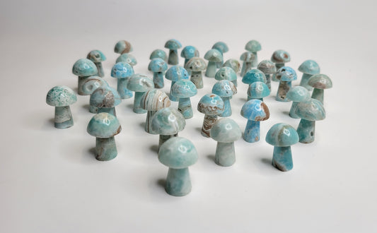 Mushroom Miniature from Pakistan - Blue Aragonite