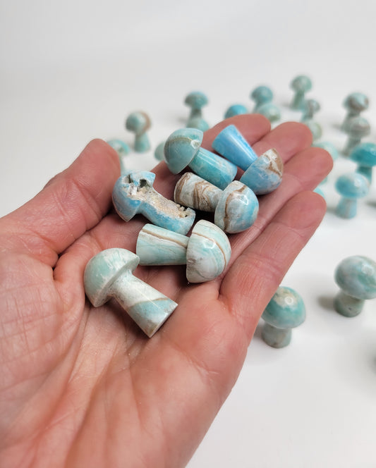 Mushroom Miniature from Pakistan - Blue Aragonite
