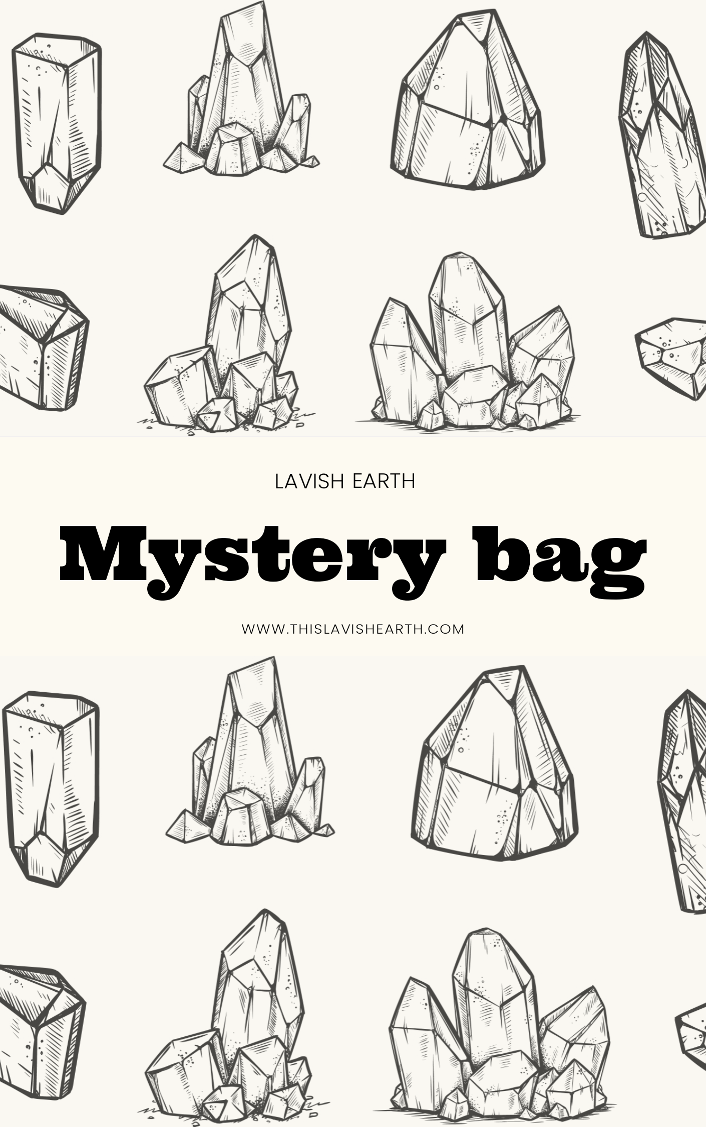 Mystery Bag! Small